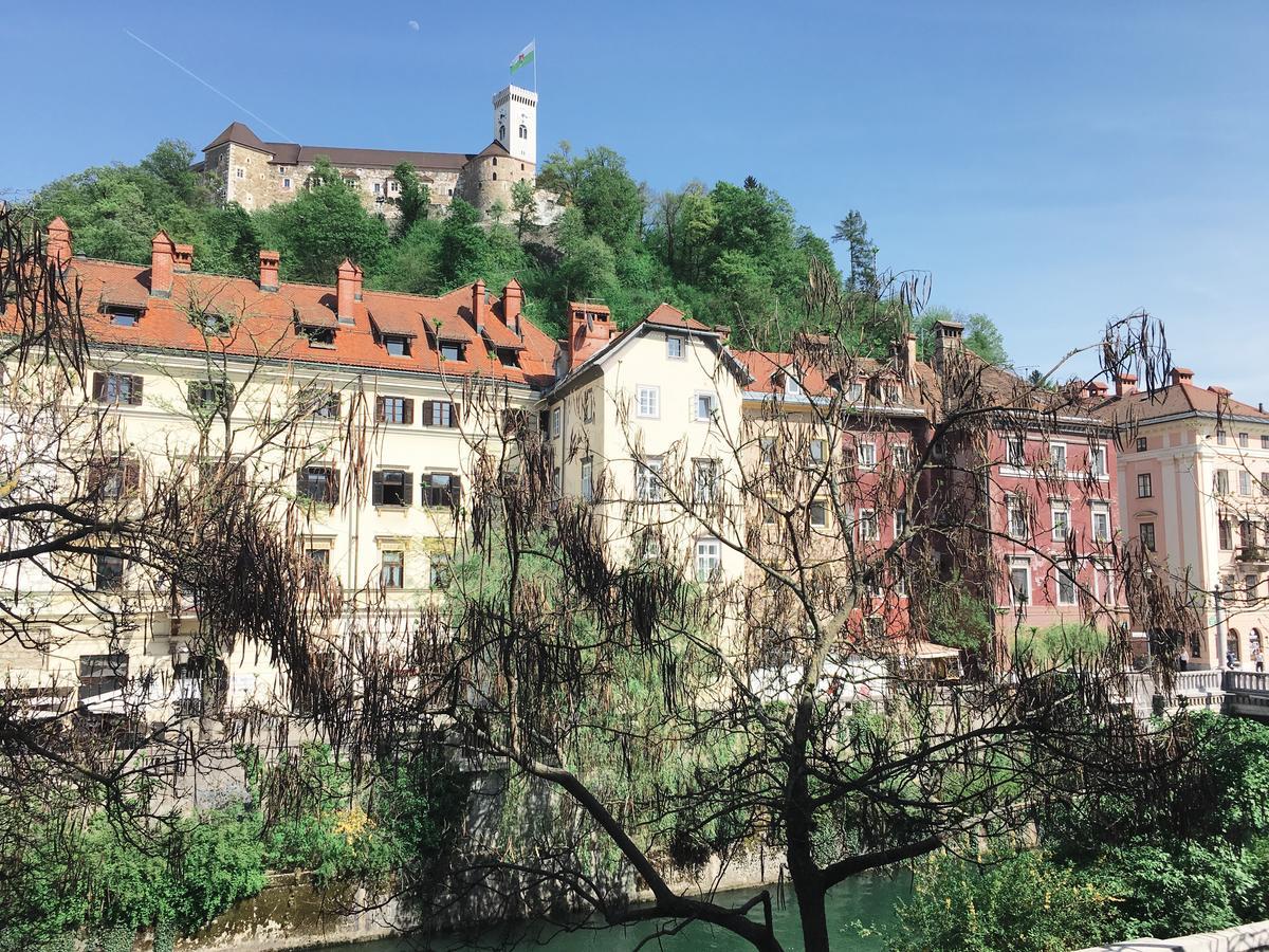 River And Castle View Apartment Rose Tour As Ljubljana Eksteriør billede